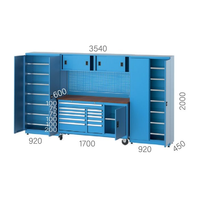 8905 – GARAGE SET CABINET 2 DOORS, 11 DRAWERS, FILE CABINET, PEGBOARD and WORKBENCH WHEELS
