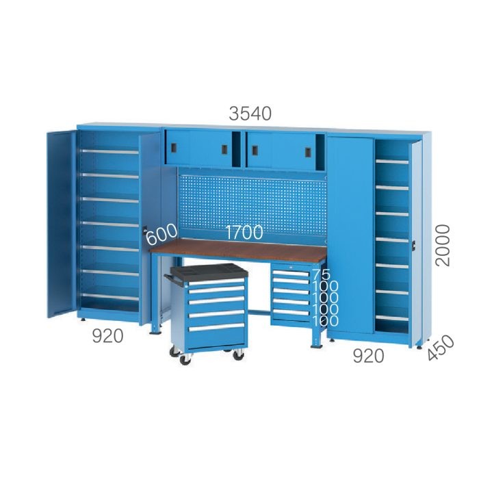8920 – GARAGE SET CABINET 2 DOORS, MOBILE TOOL CART 10 DRAWERS, FILE CABINET, PEGBOARD and WORKBENCH WHEELS